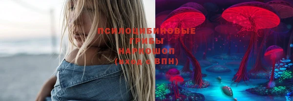 Альфа ПВП Алексин