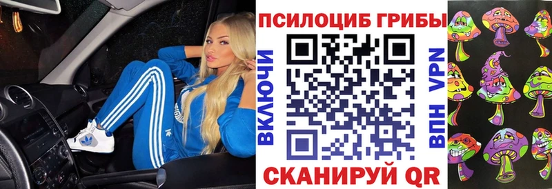 Псилоцибиновые грибы ЛСД Павловский Посад