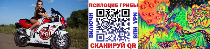 Псилоцибиновые грибы мухоморы  Павловский Посад 