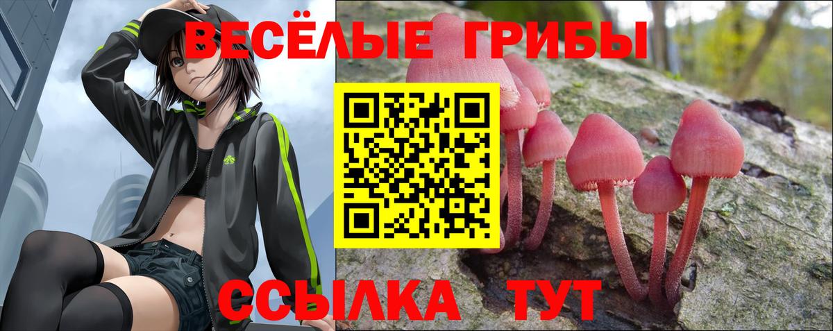 Гашиш  Экстази  Бошки Шишки  МЕФ   MDMA  Павловский Посад  Вход с VPN  Кокаин  ГАШ 
