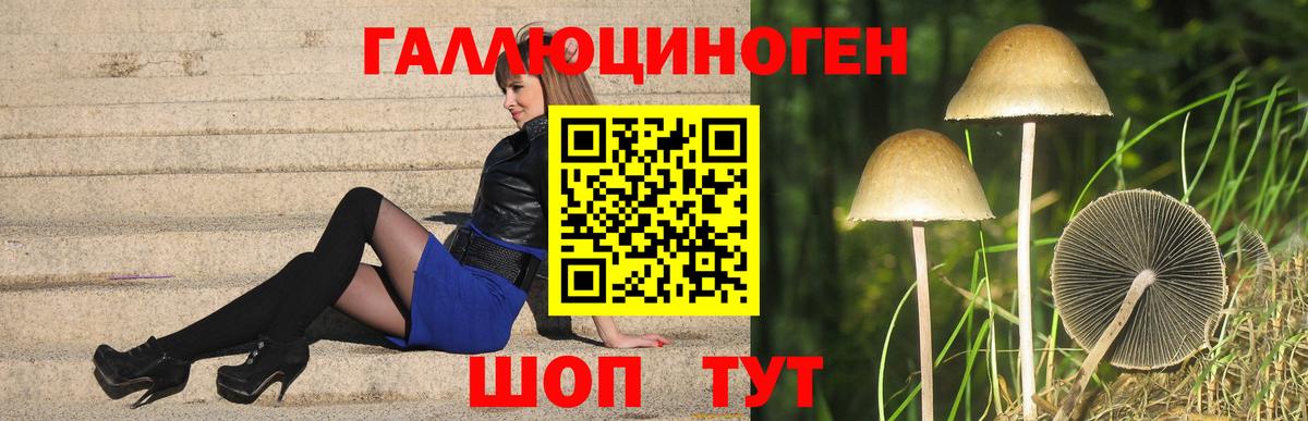 Павловский Посад  Псилоцибиновые грибы ЛСД  Вход с VPN 
