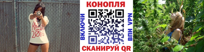 как найти закладки  Павловский Посад  МАРИХУАНА MAZAR 